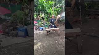 tiger jump tutorial #selfdefense Net Worth