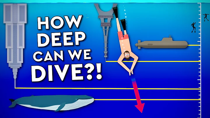 What Is The DEEPEST A Human Can DIVE? Debunked