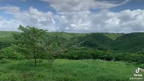 Đoàn thị điểm ,tp Bảo Lộc ..Giá bán 1tỷ700 (thuơg lượg )