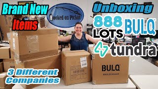 Unboxing 3 Different Companies Bulq.com, 888 Lots, & Tundra What did I Get? I see Robots! Reselling