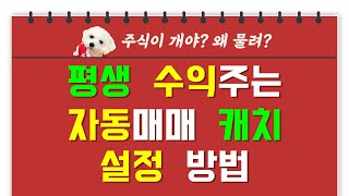 [웃지] 평생 수익주는 자동매매 캐치 설정 방법