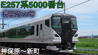 E257系5000番台OM91編成 長岡花火号 神保原～新町