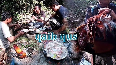 Yos hav zoov dib qaib qus 2021