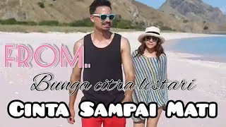 To Bunga Citra Lestari(BCL)_By Ti beng_Cinta Sampai Mati
