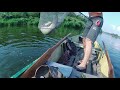 &quot;Трофеи, лето 2021&quot;, рыбалка на реке Дон