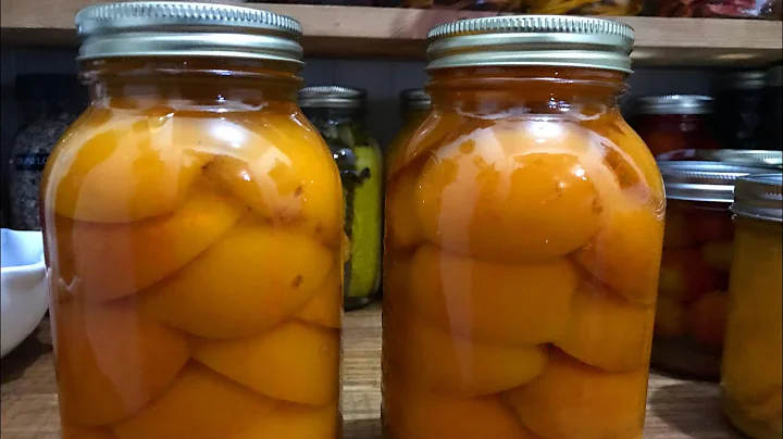 How To Preserve Apricots | How to Can For Beginners - DayDayNews