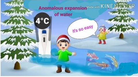 Anomalous expansion of water