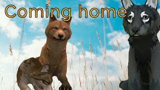 Wildcraft: ▪|||coming home|||▪Mv A story about a pup with no mother