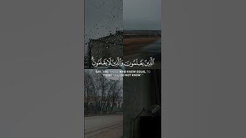 أَمَّنۡ هُوَ قَٰنِتٌ ءَانَآءَ ٱلَّيلِ ما تيسر من سورة الزمر بصوت القارئ ناصر القطامي | تلاوة خاشعة