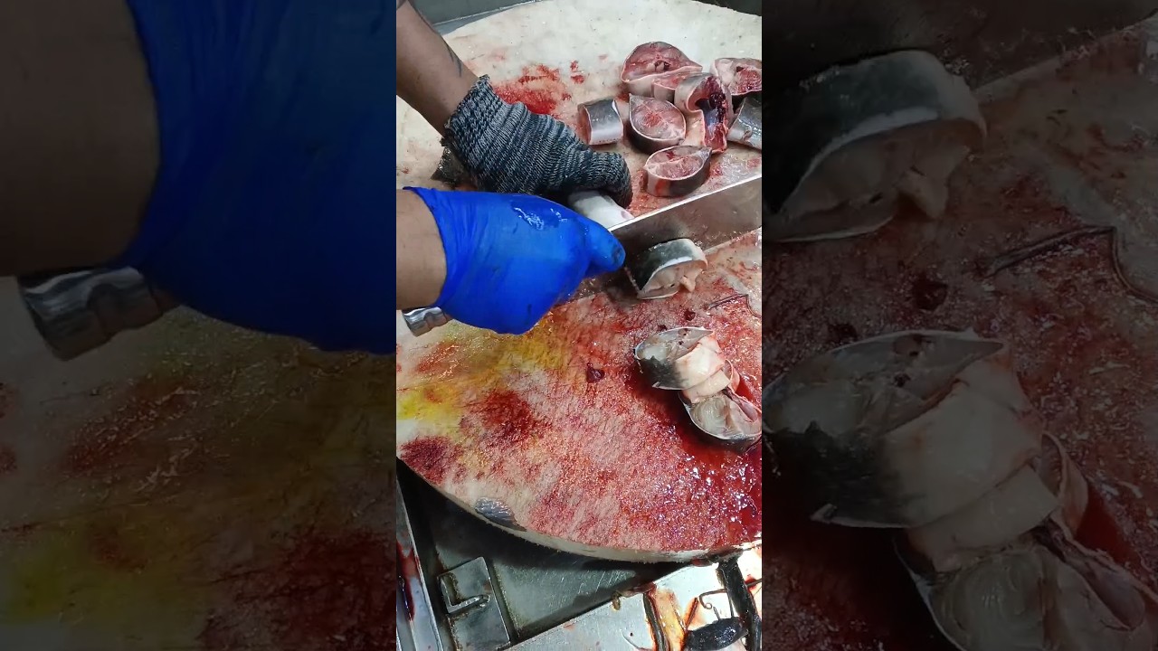 Magur fish cutting slice master # shorts video