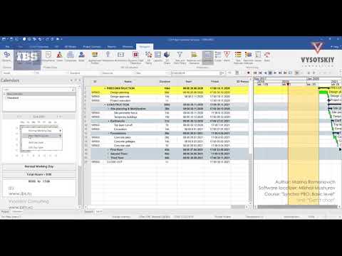 [Synchro PRO Basic] Project calendar setup