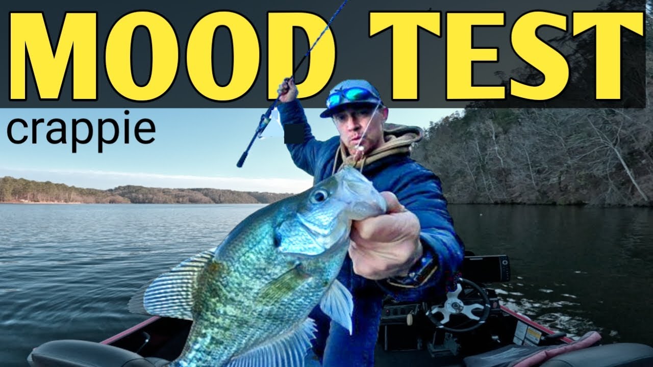 «Если они не клюнут… то это испытание на прочность никогда не провалится».