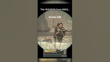 The WA2000 from MW2...