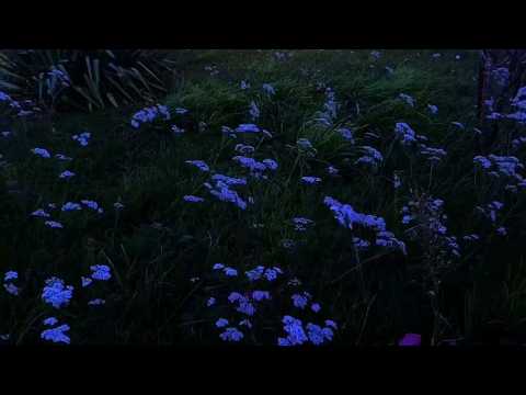 Joji x Experimental Type Beat ~ “Last Kisses”