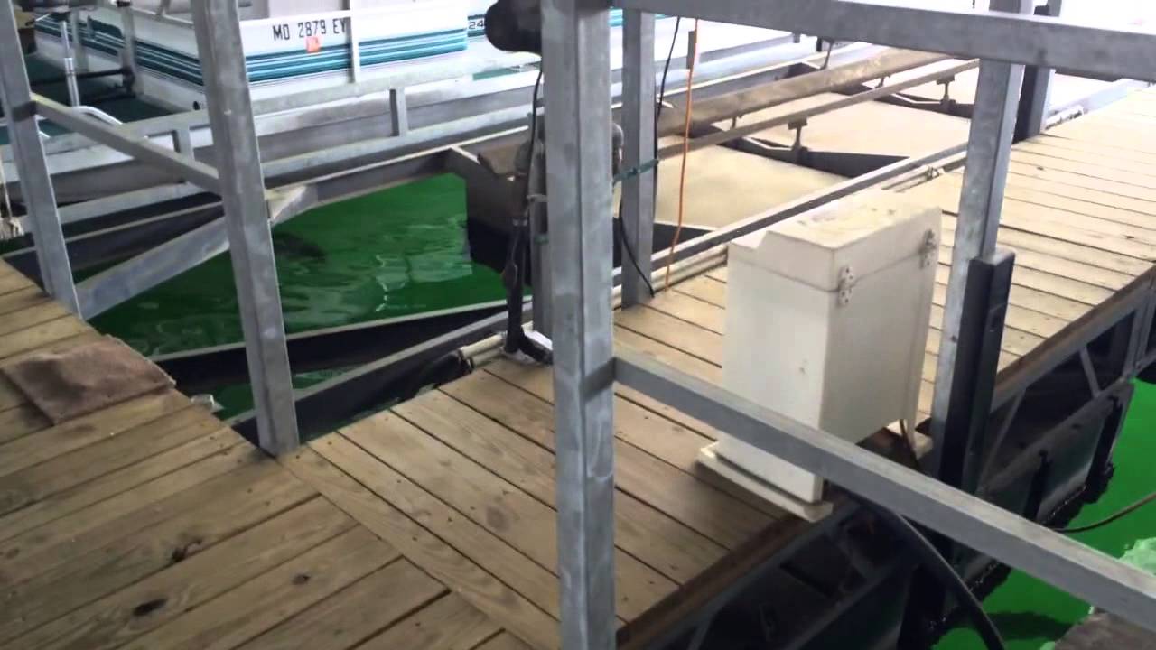 Grass Carp at Buck Creek Marina Bull Shoals YouTube