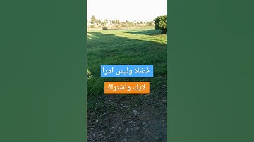 تلاوة ماشاء الله تبارك  الرحمان #explore #اكسبلور