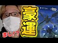 このゼクロム個体値が ヤバいやつに出会ってしまった ポケモンGO