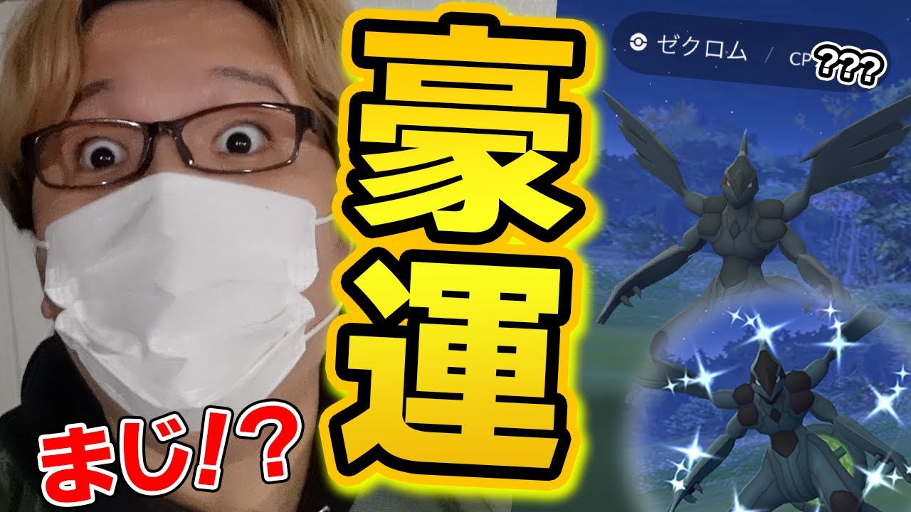 THIS ZEKROM'S IVs ARE!?!?!?!? I'VE ENCOUNTERED SOMETHING CRAZY