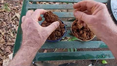 Effect of Tillage on Soil Structure