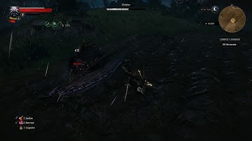 The Witcher 3 Ghost Mode - Shrieker (Blood and Broken Bones)