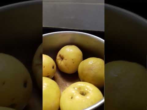 لحظات من الزمن الجميل نور لا ينطفئ كن قائدا لسفينة حياتك أدنى شيء قد يخلق السعادة