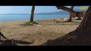 Beach Meditation - 1 Hour of Mediteranian Beach White Noise, Relaxing Sea Wave & Birds Sounds - 4k
