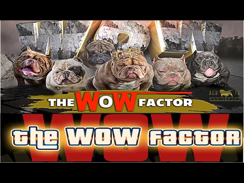 Video: GC: WOW Factor