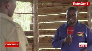 Omulimisa: Lunda Enkoko z'ennyama nga omulimu ogw'ebbali   Wuuno omuserikale aziweera obujulizi