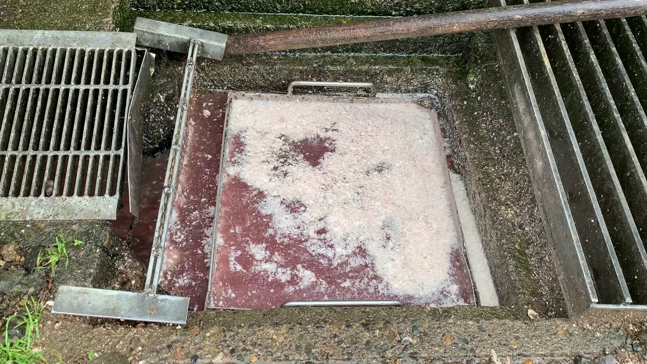 Meat factory waste water process by OZAC (1/3) YouTube