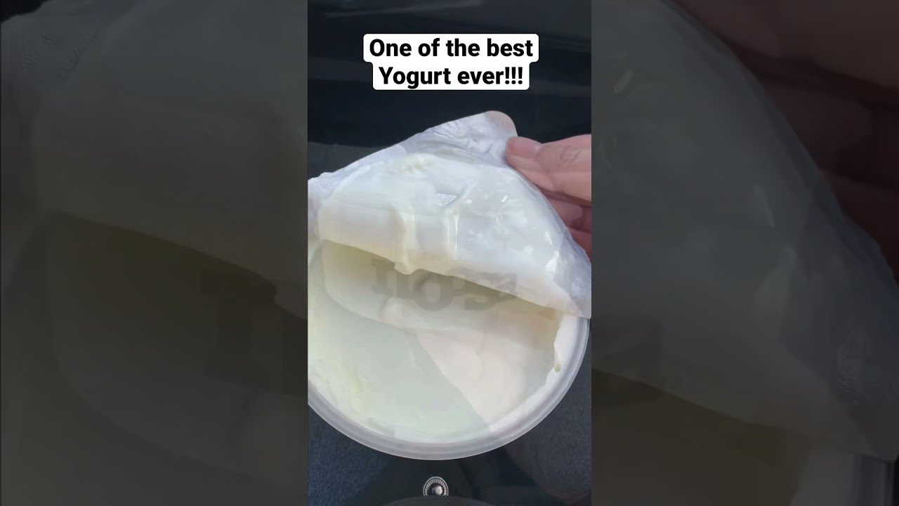 Noosa Yogurt • Mango 🥭 Flavor • Mompreneur Life Vlog YouTube 