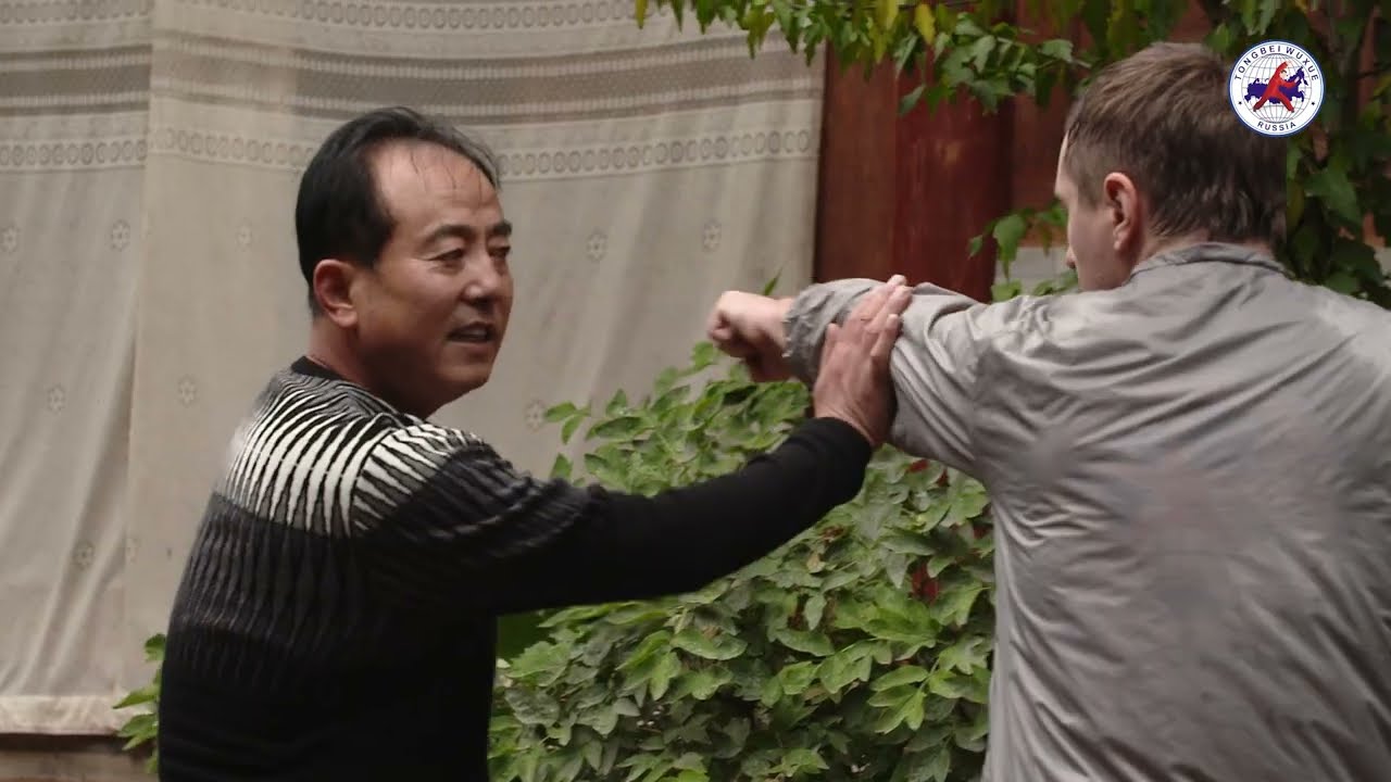 Tongbei wuxue. Basic principles of fight.