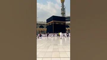 وديلي سلامي يا رايح للحرم 