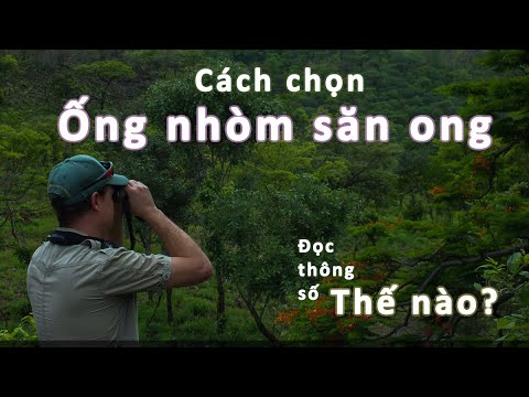 Video Cách chọn mua ống nhòm tìm ong phù hợp cho mùa ong bội... - youtube