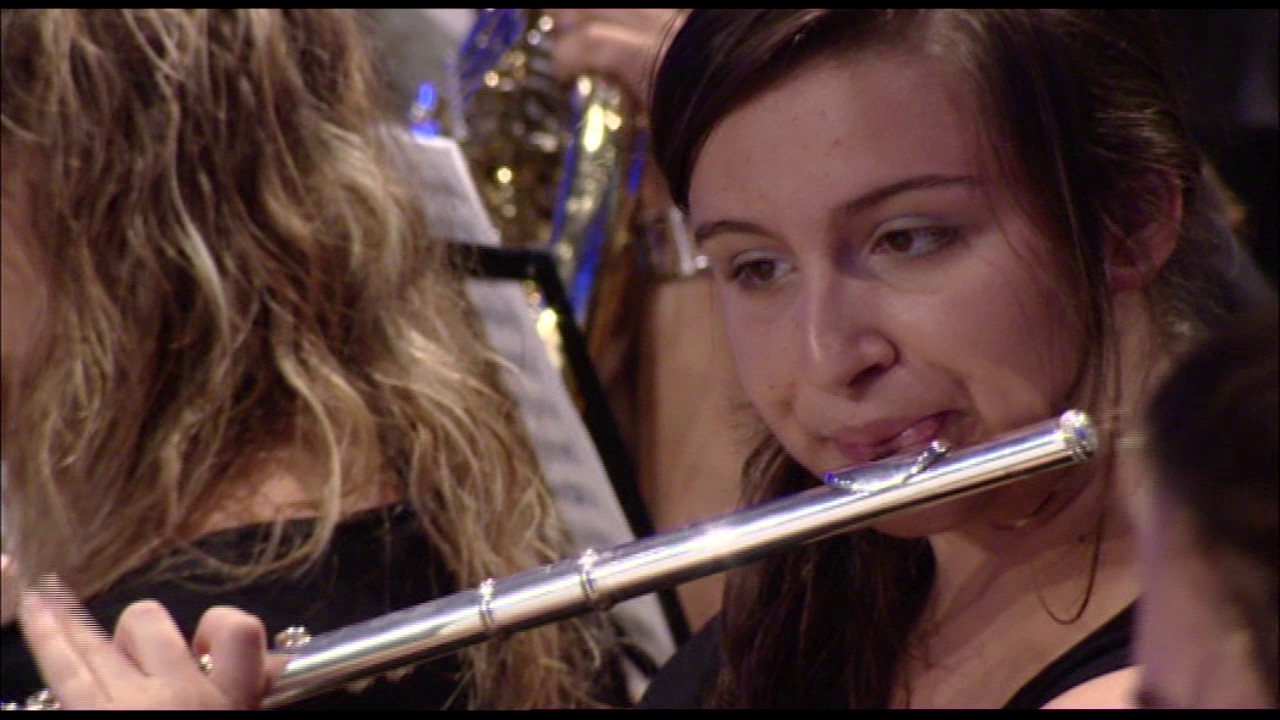 Sinfonía Sevillana FILARMÓNICA BEETHOVEN DE CAMPO DE CRIPTANA