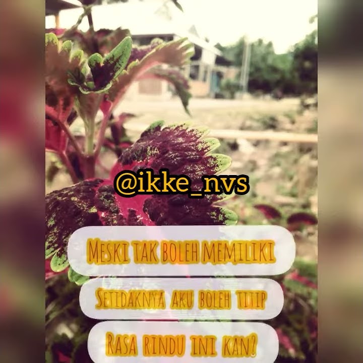 Ini Rindu _ Story WA