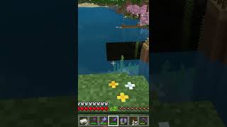 Chunks refusing to load and my pause menu skin was BACKWARDS?!? #minecraftbugs #bugrock #minecraft