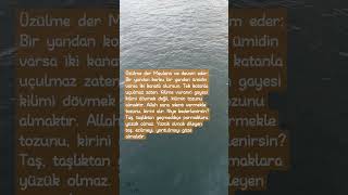 Mevlânâ Üşünce Özler