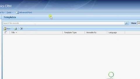 MS CRM 4.0 Email Templates