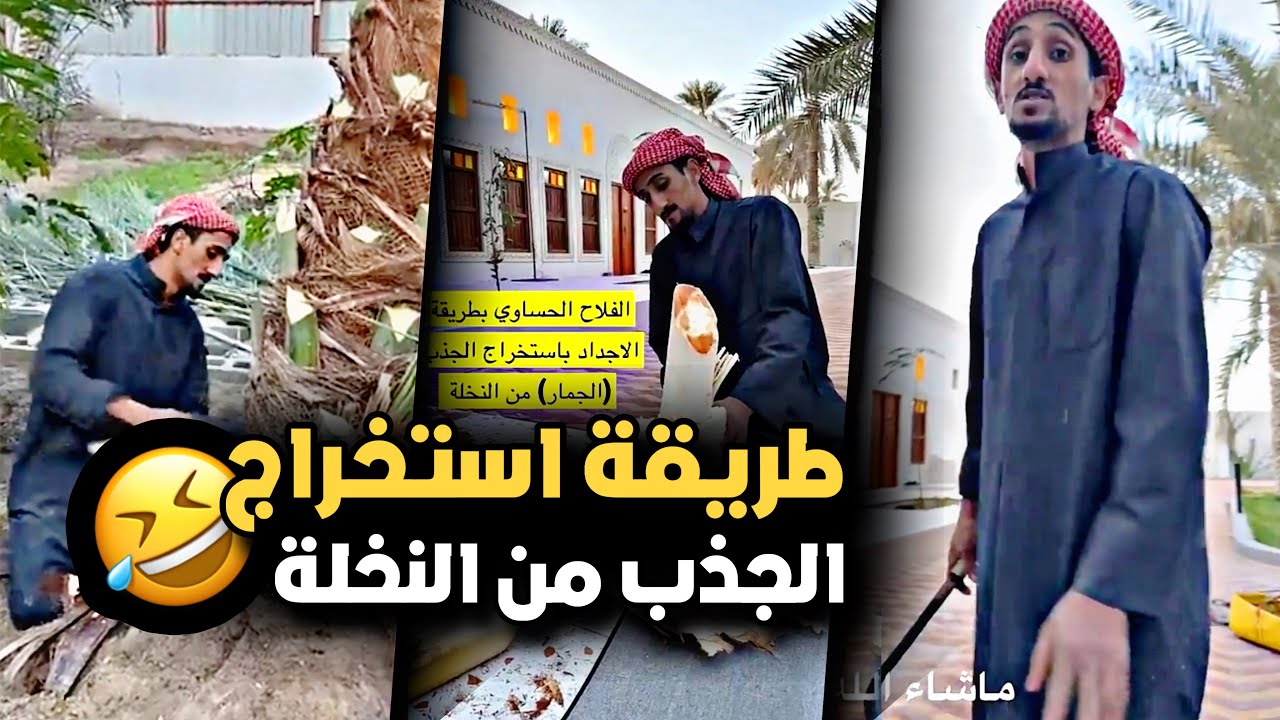 طريقة استخراج جذب النخل الحساوي 😍❤️ | سنابات حسين البقشي | علي الشهابي | بوحسين الحساوي