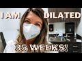 35 WEEK PREGNANCY UPDATE | WEEKLY PREGNANCY DOCTORS APPOINTMENTS | WEEK BY WEEK PREGNANCY UPDATE