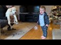 Adorable Baby Boy Talks To His Golden Retriever Puppy! (Cutest Ever!!)