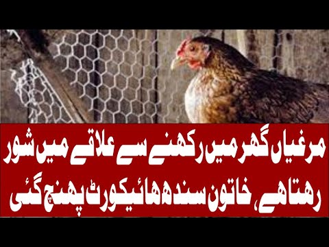 مرغیاں گھر میں رکھنے سے علاقے میں شور رہتا ہے، خاتون سندھ ہائیکورٹ پہنچ گئی