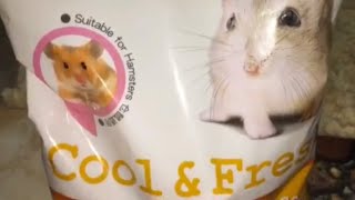 Hamster Bedding Sand