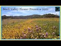California Wild Flowers - #SuperBloom - Snell Valley Flower Preserve 2022 By : Quest For Details