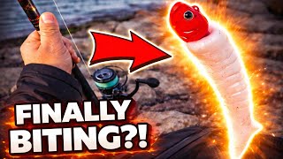 “NYC Spring Fishing is BACK?! (What’s Biting RIGHT NOW 2026)