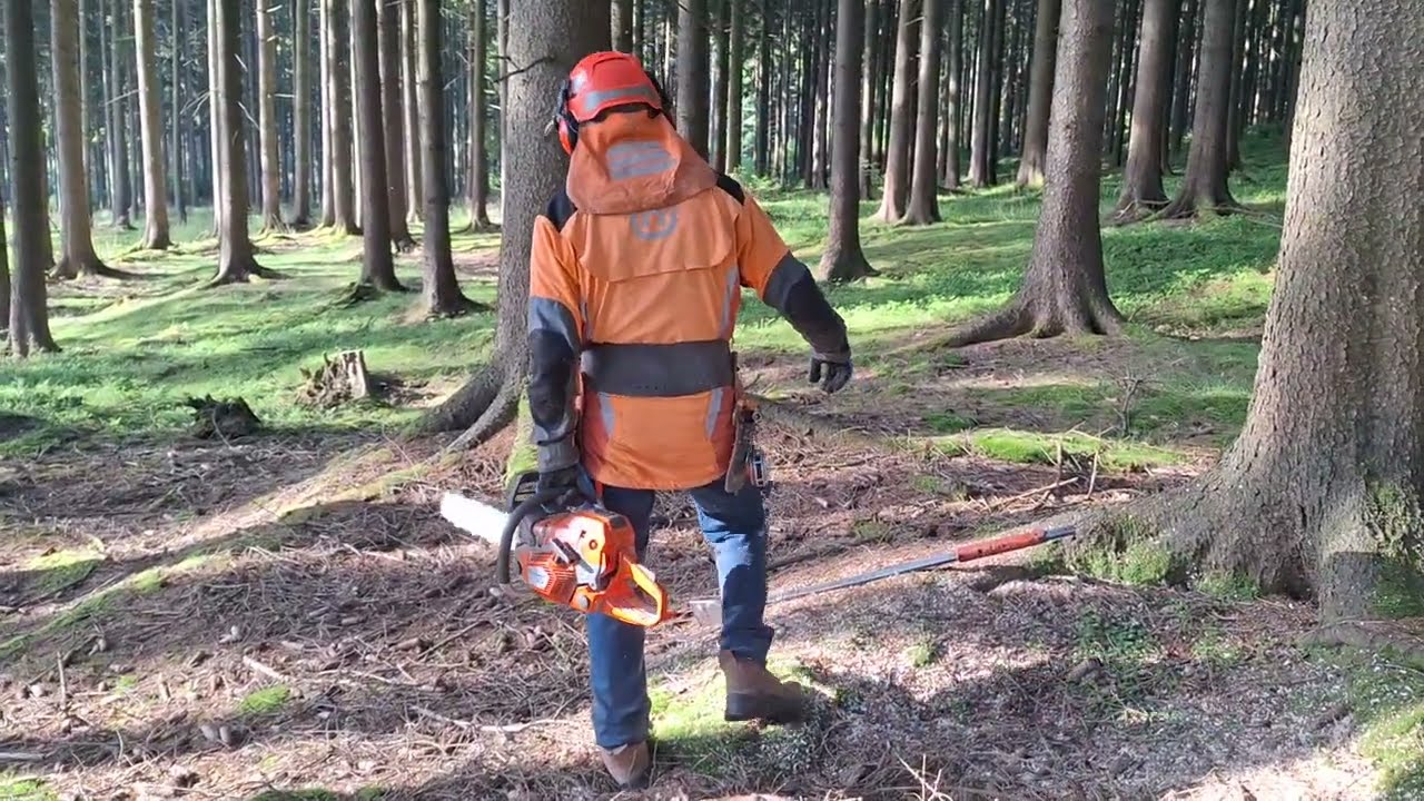 Lumberjack felling a tree with a Husqvarna 560XP chainsaw