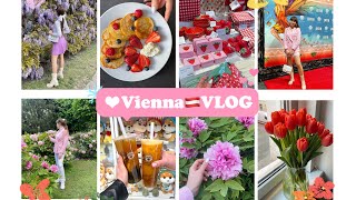 VLOG🇦🇹Командировка, Cirque du Soleil в Вене🎪🌸