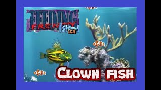 Feeding frenzy Mod!   Clown fish screenshot 1