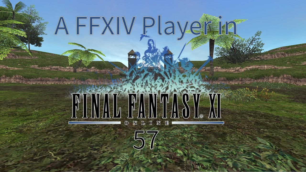 [57] A Final Fantasy XIV player in Final Fantasy XI - YouTube