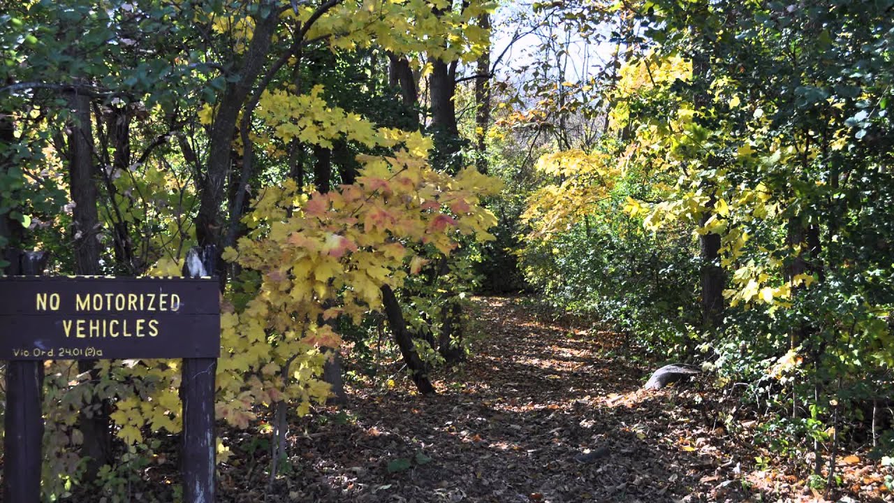 Autumn in Butler, Wisconsin YouTube